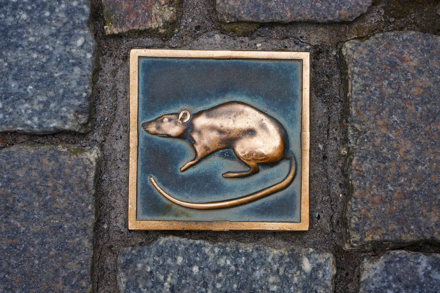 Bronzeplatte mit Ratte im Kopfsteinpflaster der Hamelner Altstadt