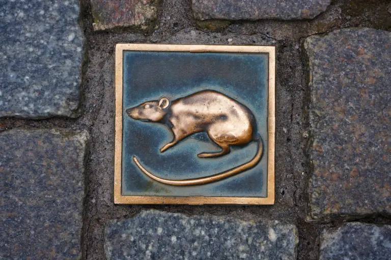Bronzeplatte mit Ratte im Kopfsteinpflaster der Hamelner Altstadt